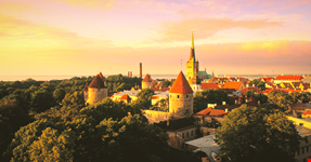 Tallin